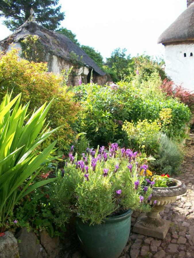 Middletown Farmhouse B&B Okehampton Eksteriør bilde